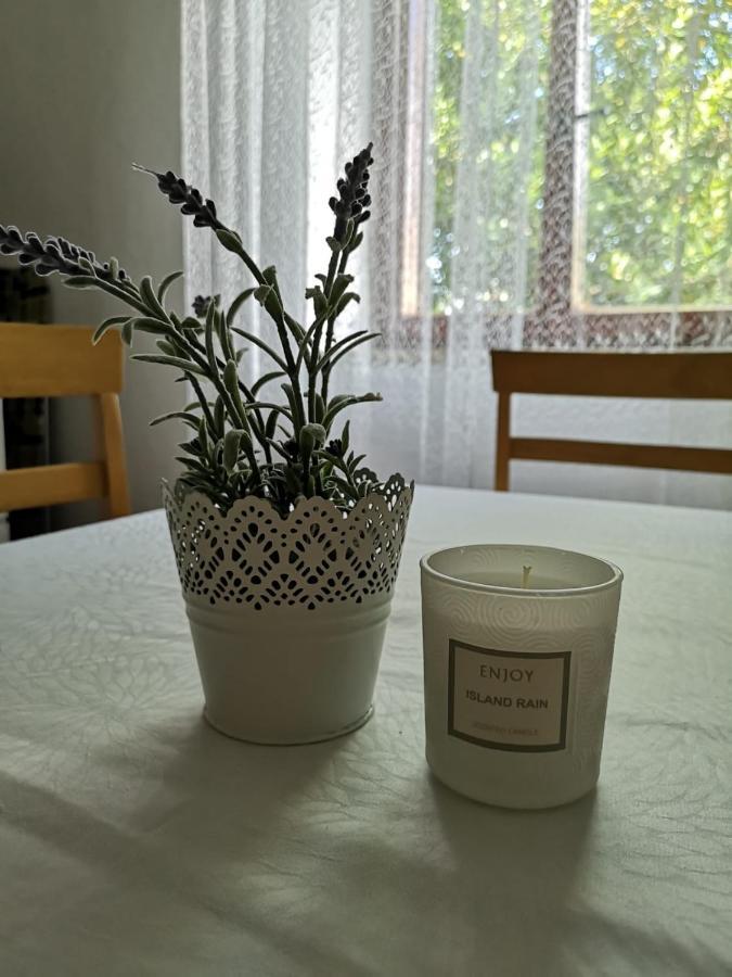 Apartment Kalavojna Rakalj Zewnętrze zdjęcie